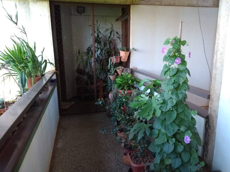 entrada.jpg entrada.jpg